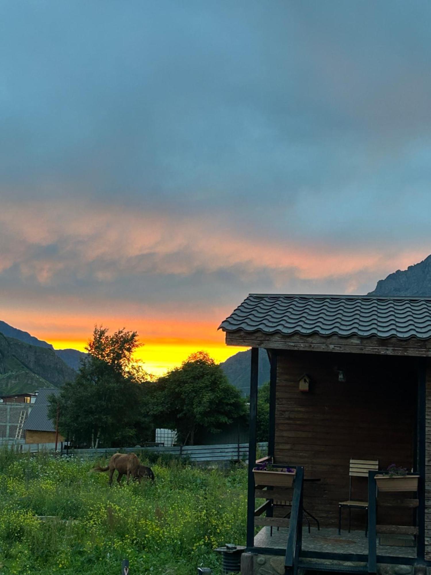 Panorama Cottages Kazbegi Εξωτερικό φωτογραφία