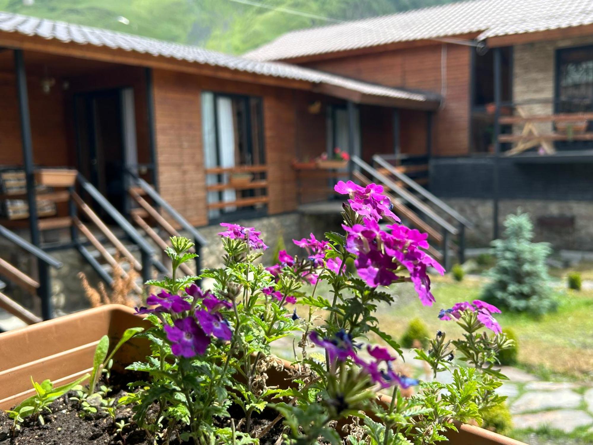 Panorama Cottages Kazbegi Εξωτερικό φωτογραφία
