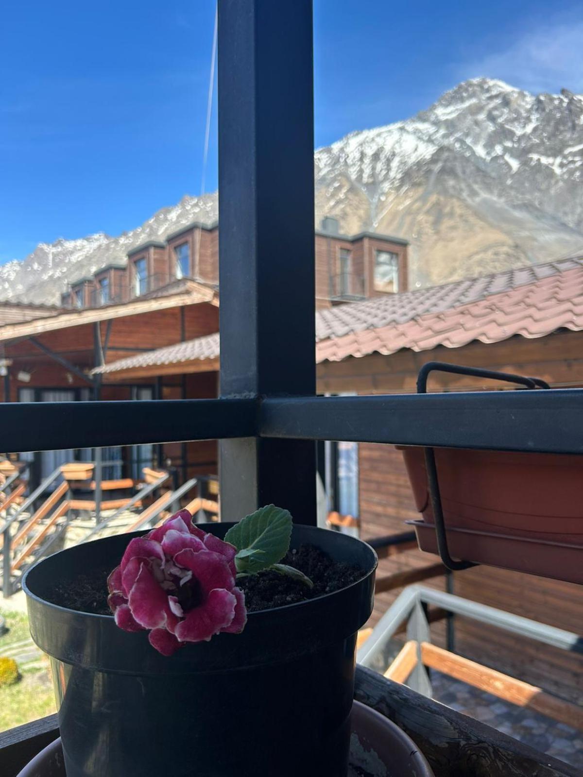 Panorama Cottages Kazbegi Εξωτερικό φωτογραφία